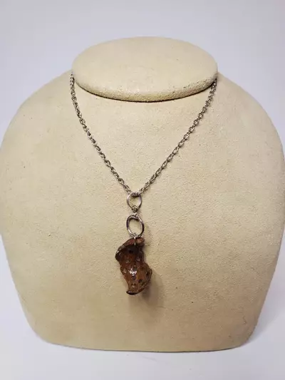 plant/Hickory Hull Necklace 27" Featuring Organic Curves-0-thumbnail