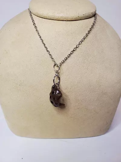 plant/Hickory Hull Necklace 27" Featuring Organic Curves-1-thumbnail