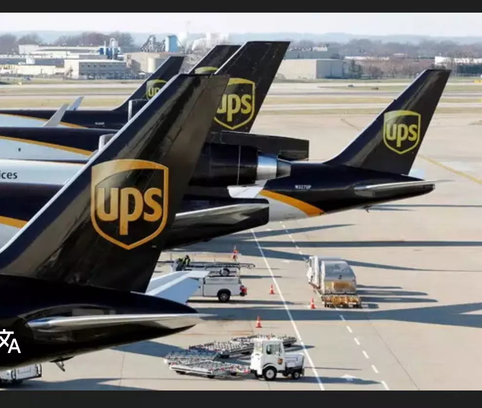 plant/Over night upgrade-0