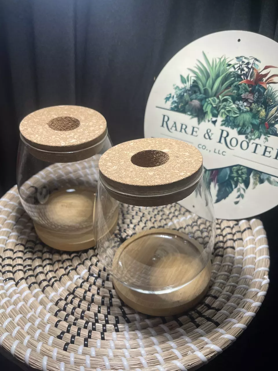 plant/Glass Prop Jars Set of 2-0