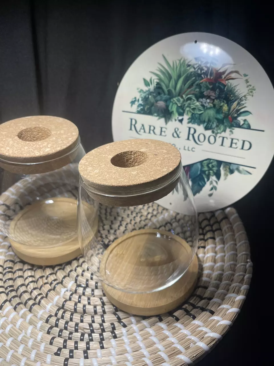 plant/Glass Prop Jars Set of 2-3