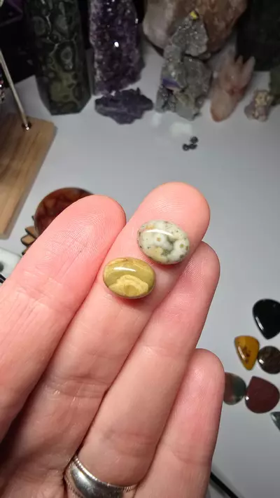 plant/Custom Jewelry for Alexis-0-thumbnail