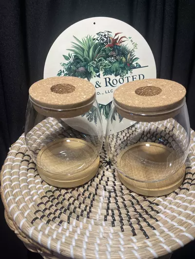 plant/Glass Prop Jars Set of 2-1-thumbnail