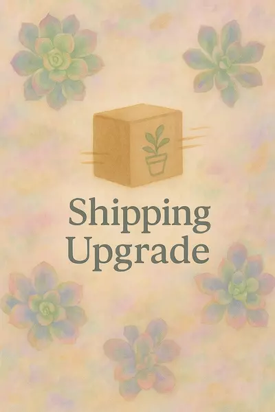 shipping_upgrade/Shipping Upgrade-Priority-0-thumbnail