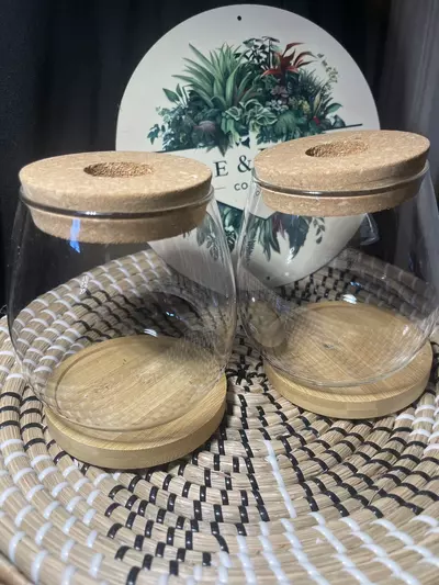 plant/Glass Prop Jars Set of 2-2-thumbnail