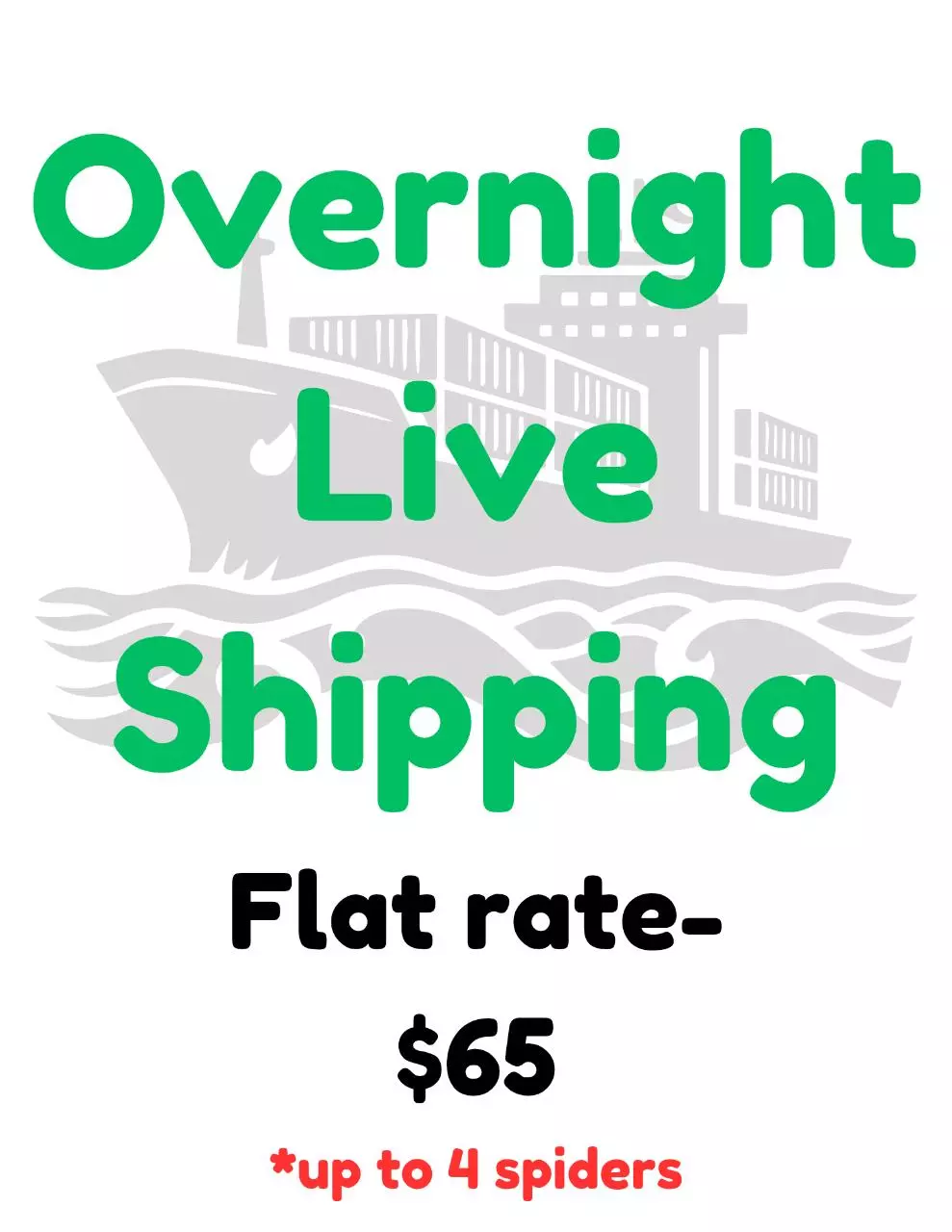 plant/Live shipping for spiders, overnight, flat rate.-0