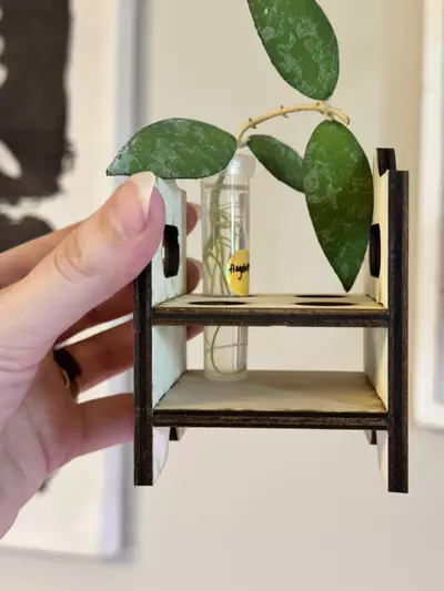 plant/🌸MINI PROP DISPLAY-2-thumbnail