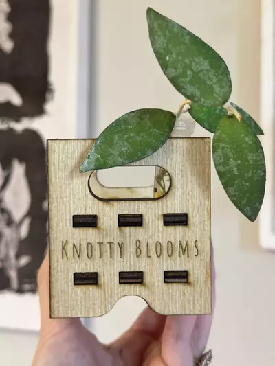 plant/🌸MINI PROP DISPLAY-1-thumbnail