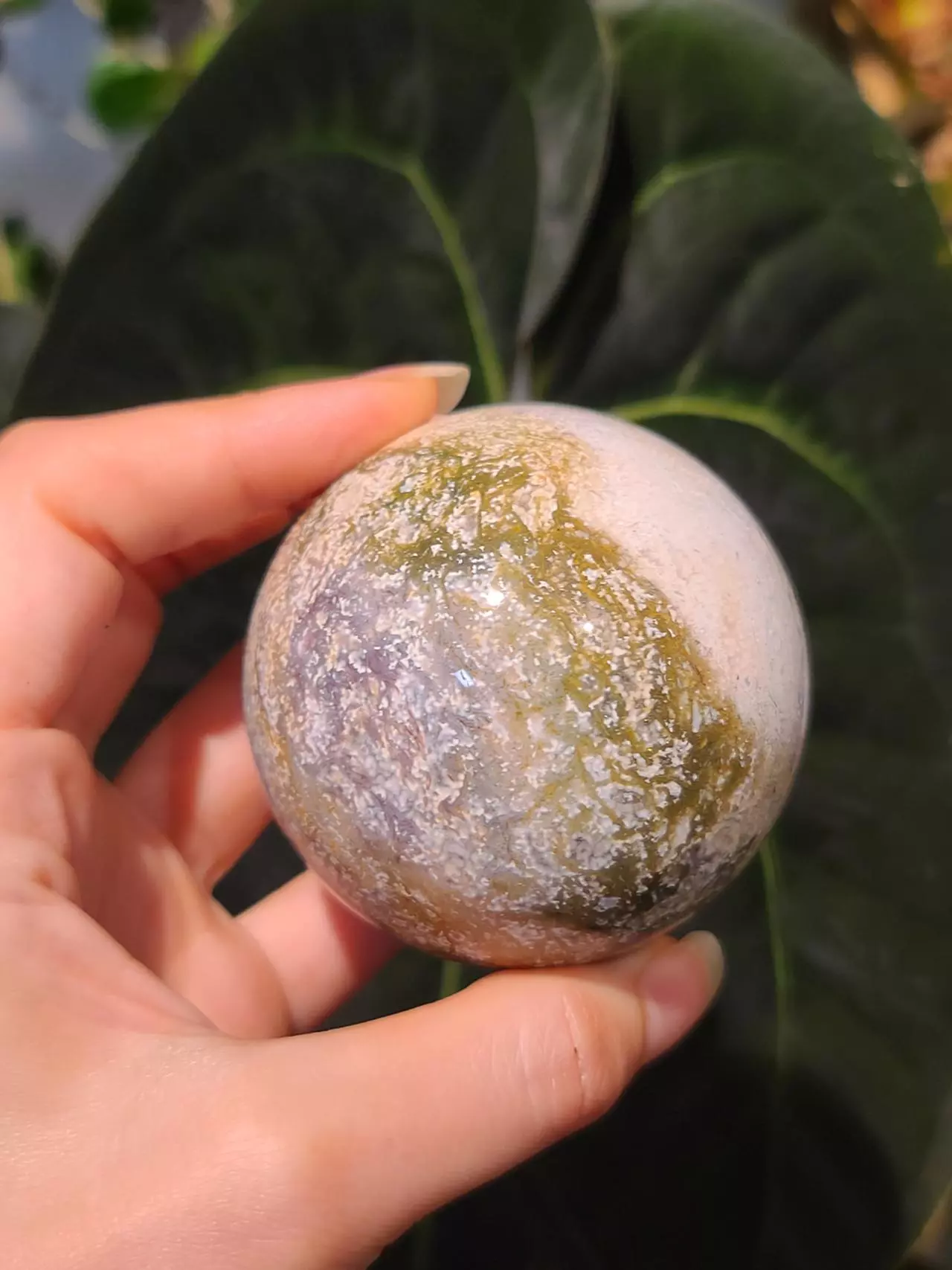 plant/Ocean Jasper Sphere-0