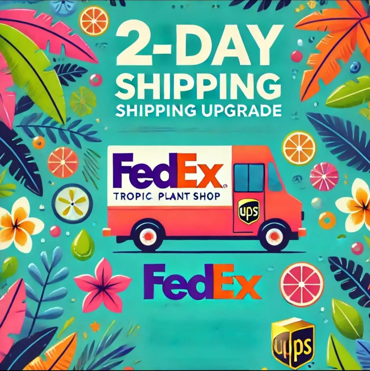 shipping_upgrade/2 Day Shipping Upgrade-0