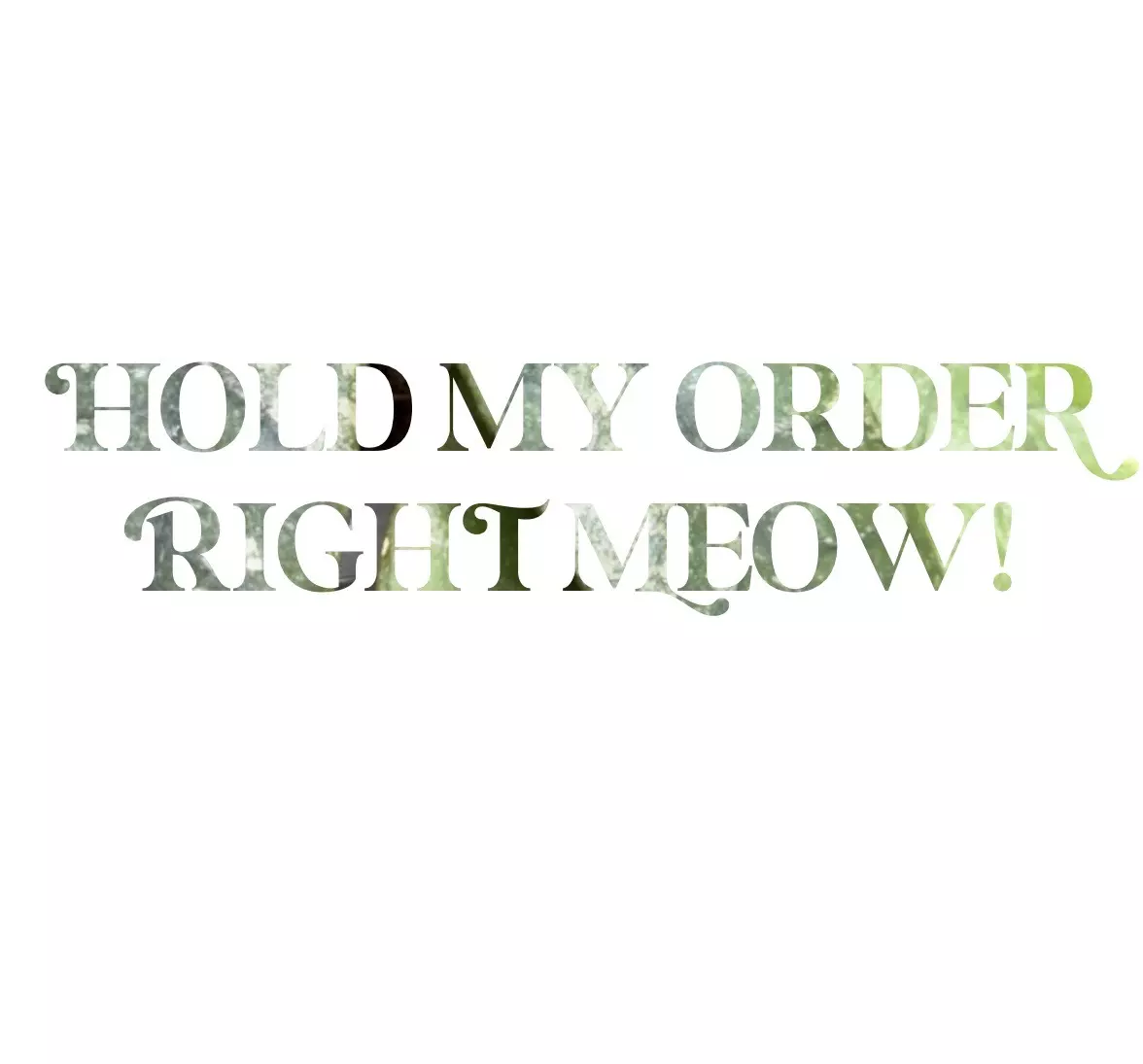 free_shipping/🌸HOLD MY ORDER FOR ONE WEEK-0
