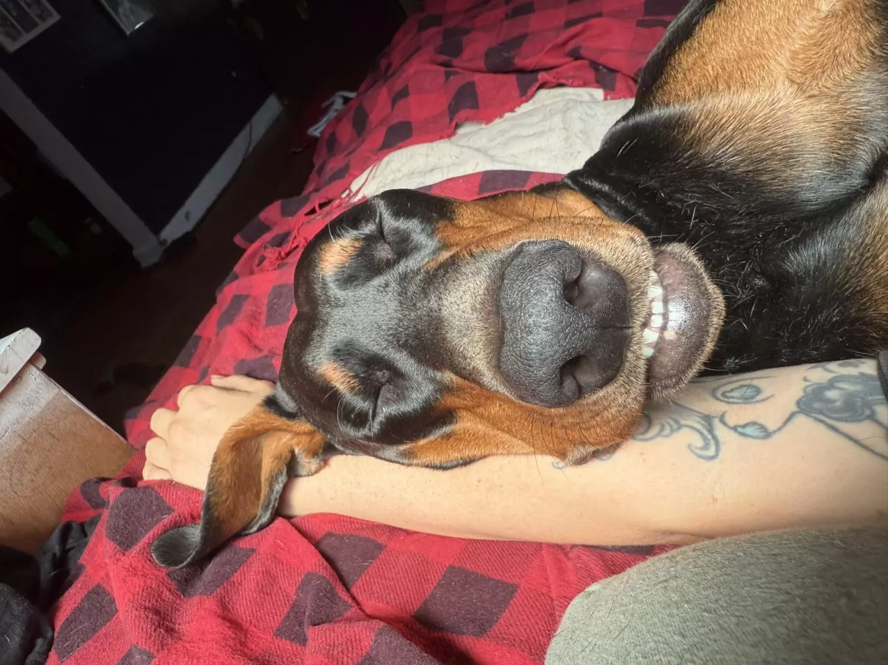 shipping_upgrade/Priority express ups-0