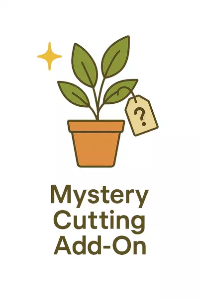 free_shipping/Mystery Cutting-0-thumbnail
