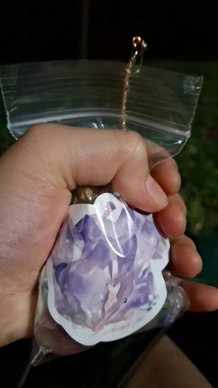 plant/Mystery crystal bag-1