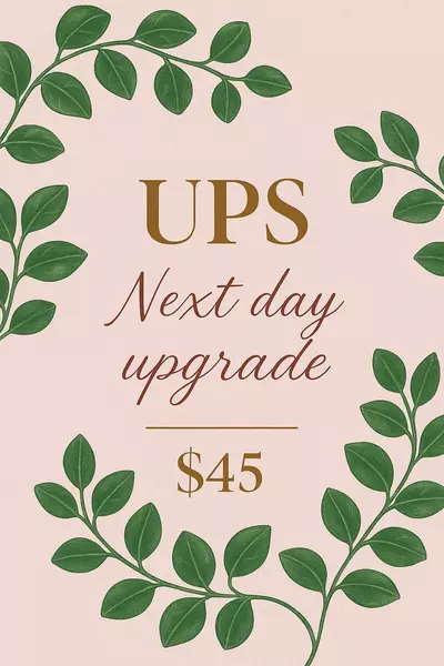 shipping_upgrade/UPS Next Day shipping upgrade-0-thumbnail