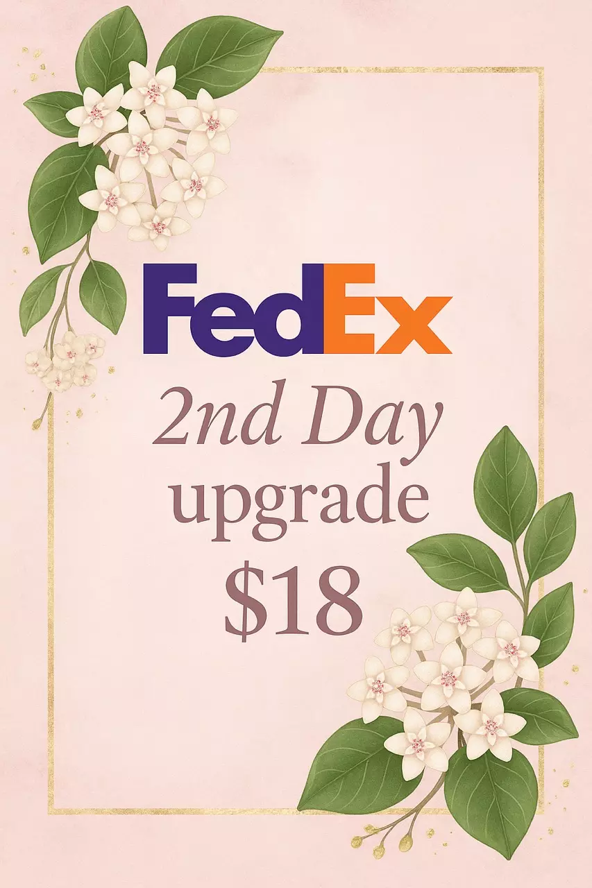 shipping_upgrade/FedEx 2nd day shipping upgrade-0