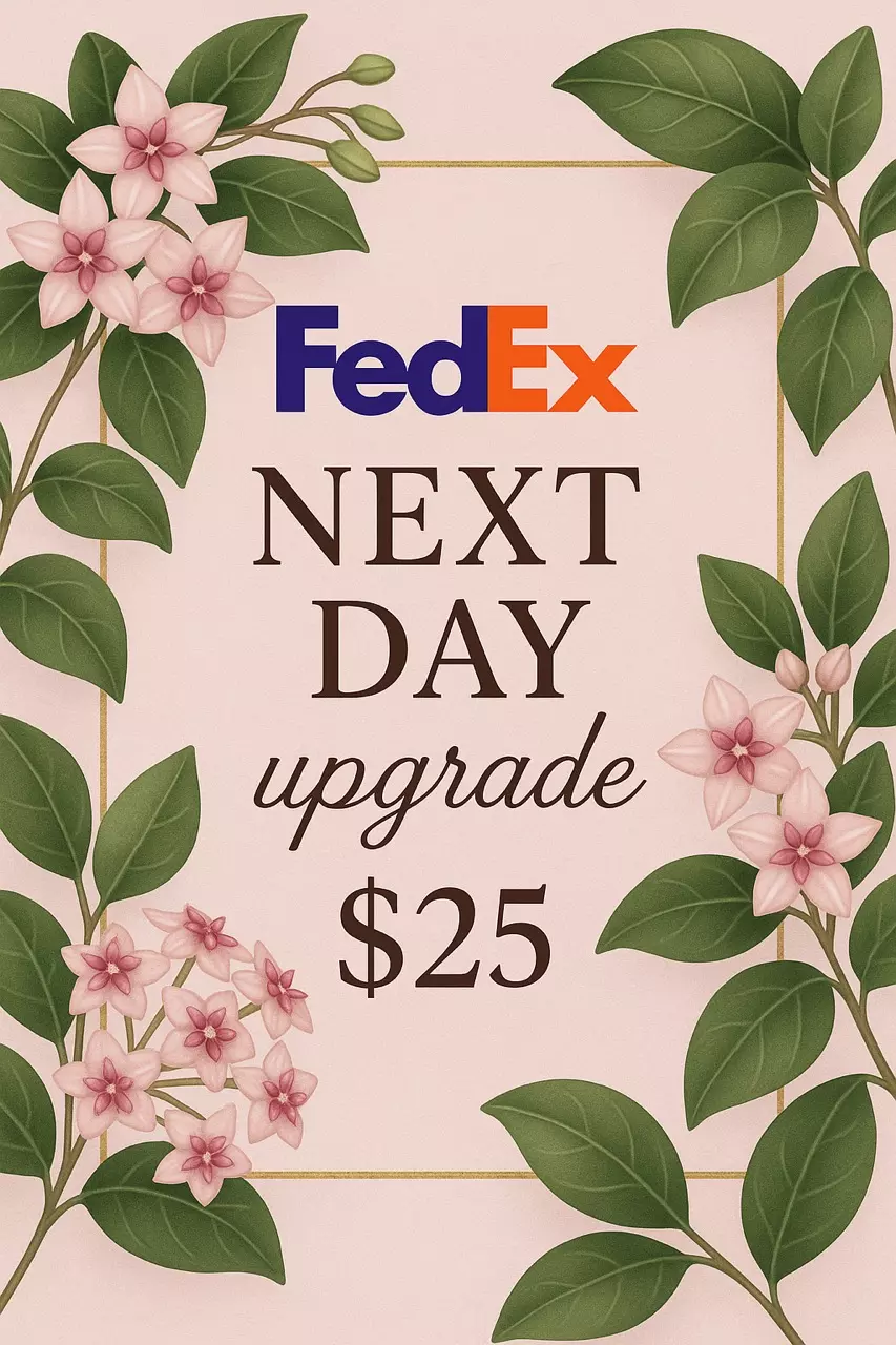shipping_upgrade/FedEx Next Day Shipping Upgrade-0