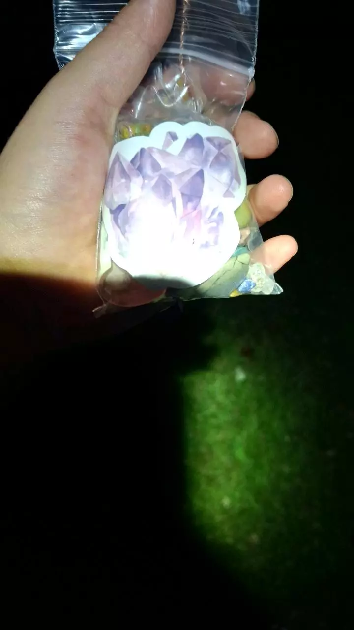 plant/Mystery crystal bag-0