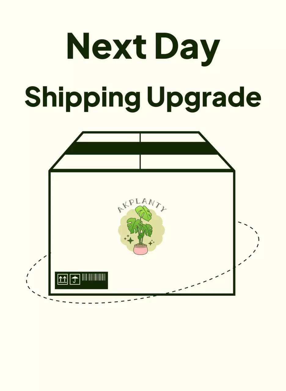 shipping_upgrade/Next Day Shipping Upgrade-0