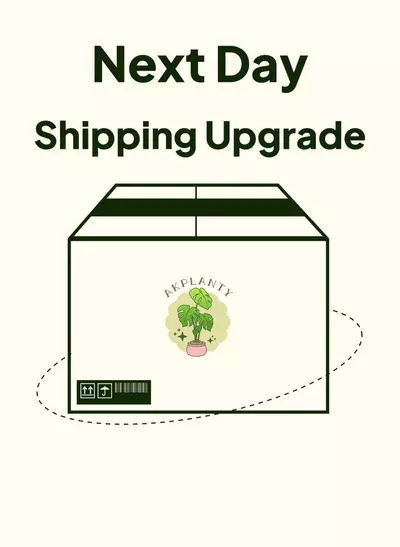 shipping_upgrade/Next Day Shipping Upgrade-0-thumbnail