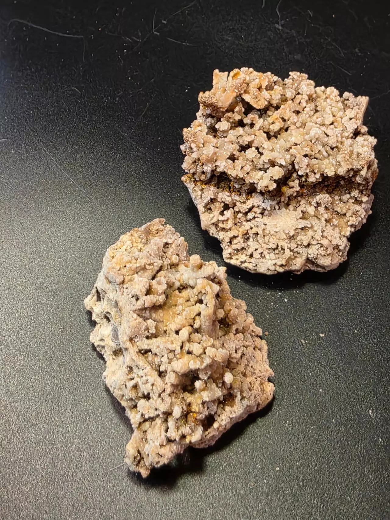 plant/Aragonite from Sidi Ayad Morocco-4