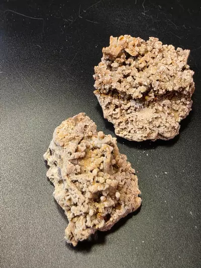 plant/Aragonite from Sidi Ayad Morocco-4-thumbnail