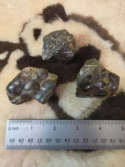 plant/Botryoidal Hematite from Morocco-1-thumbnail