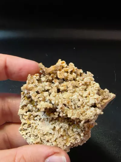 plant/Aragonite from Sidi Ayad Morocco-2-thumbnail