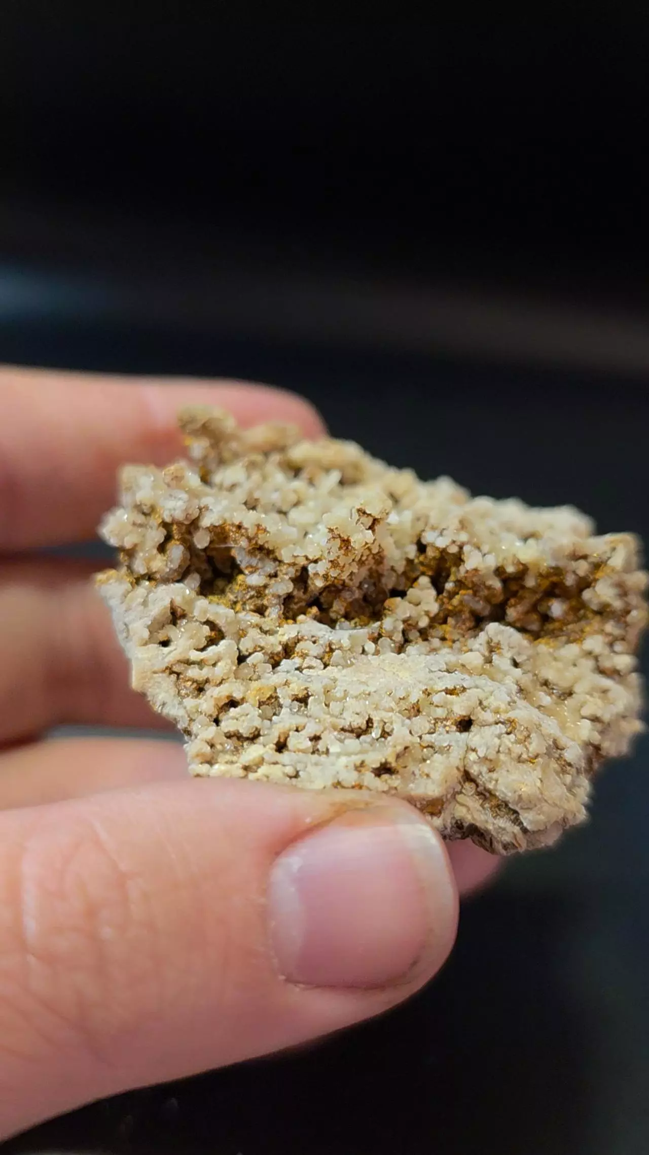 plant/Aragonite from Sidi Ayad Morocco-0