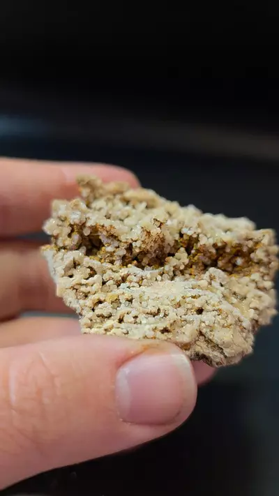 plant/Aragonite from Sidi Ayad Morocco-0-thumbnail