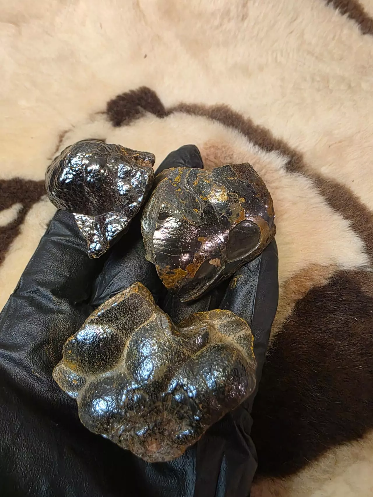 plant/Botryoidal Hematite from Morocco-0