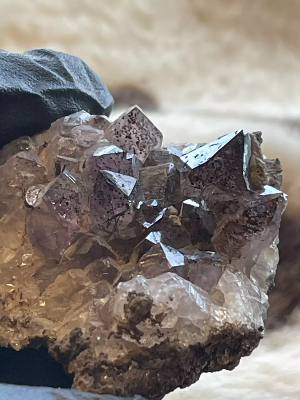 plant/Dark Amethyst with goethite Morocco mineral-0