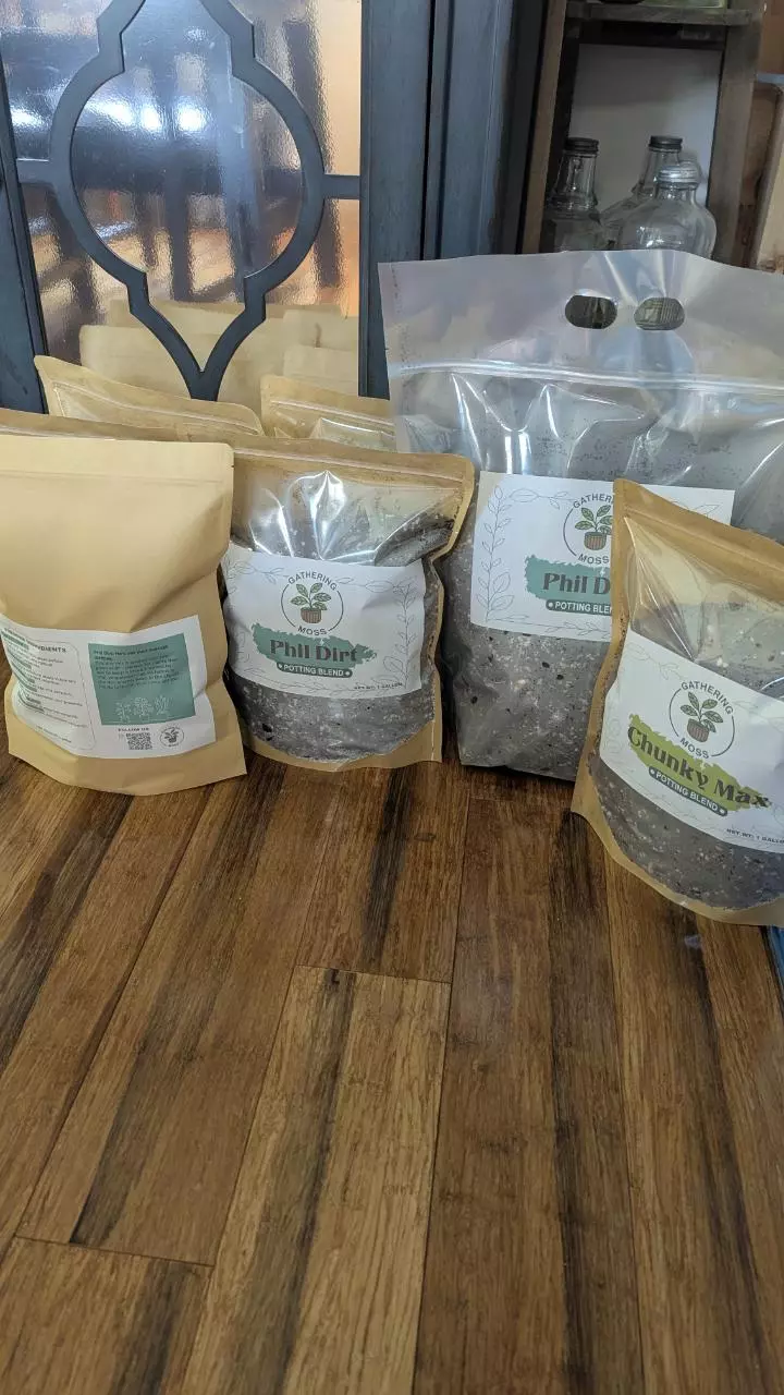 plant/Phil Dirt-Tree Fern Fiber Potting Mix - 1 Gallon Bag-0