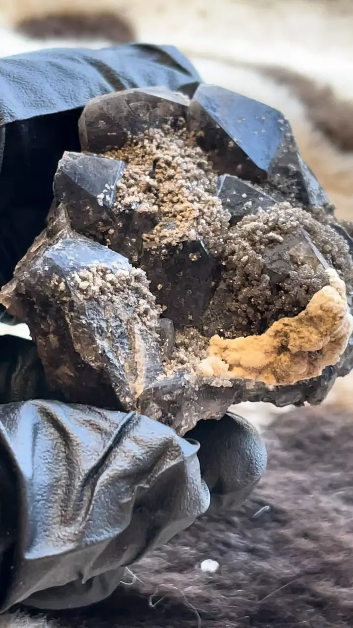 plant/Smokey Amethyst Morocco-1