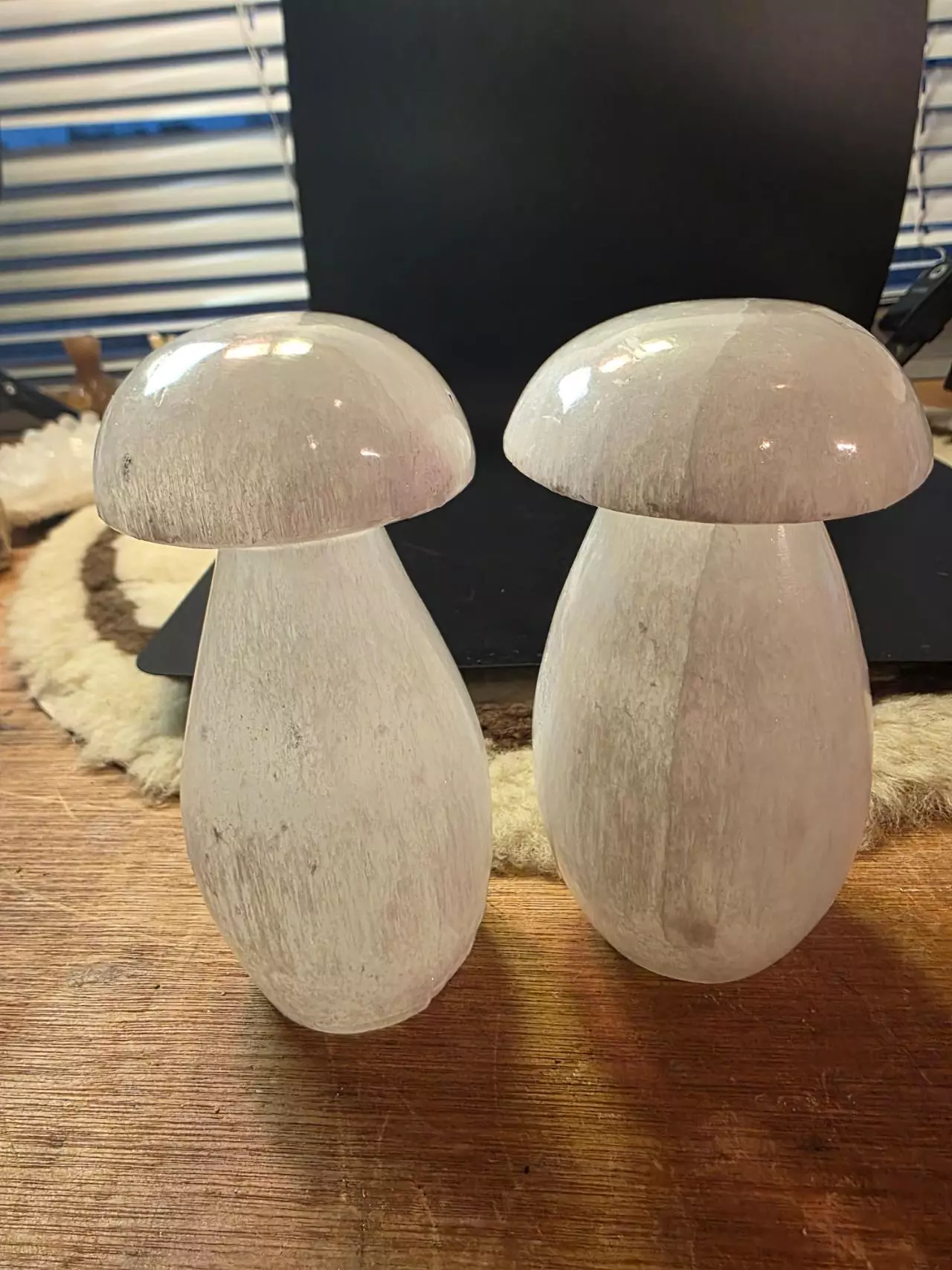plant/As-Is Mushroom Lamp, Selenite - Satin Spar-0