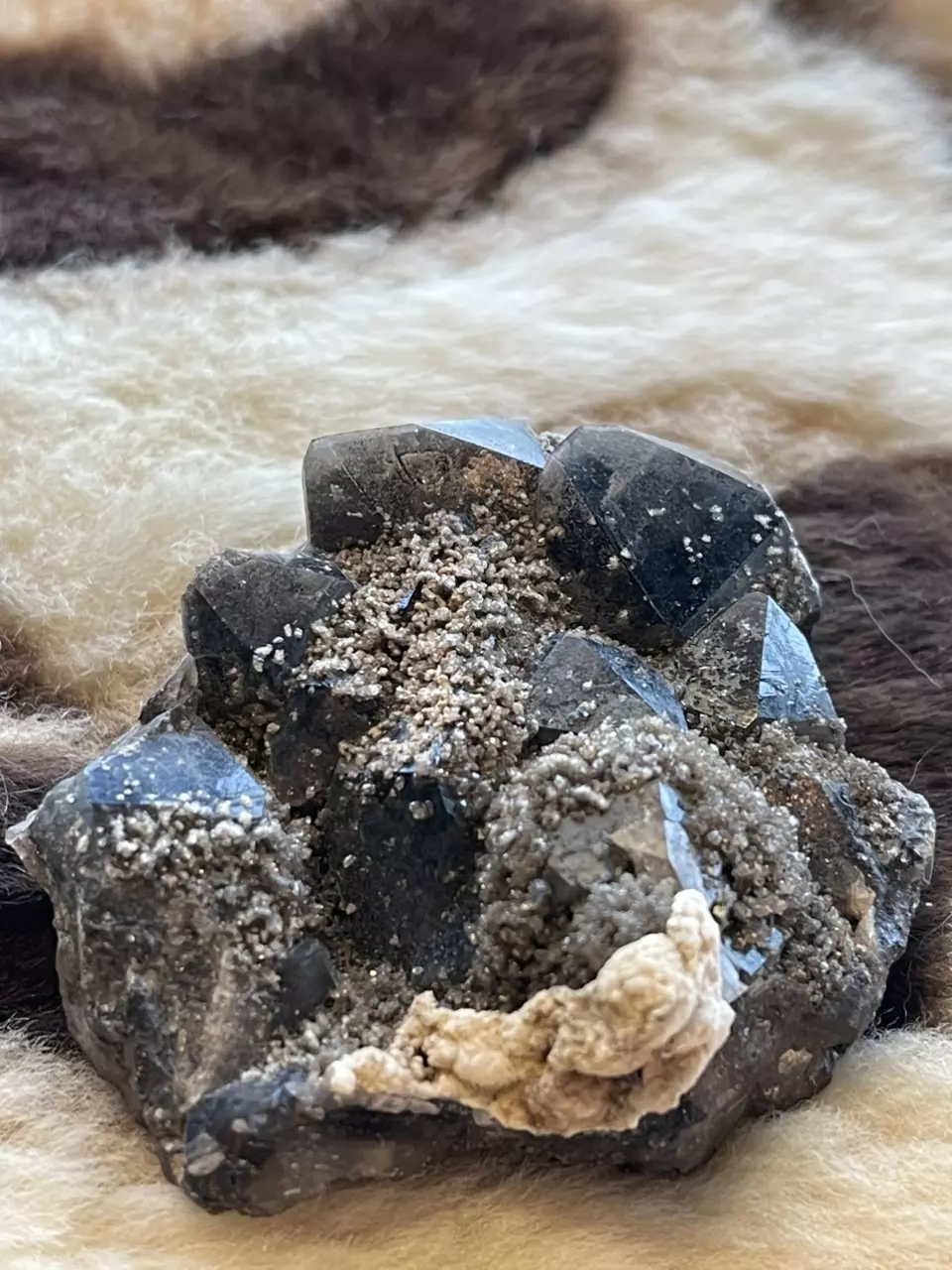 plant/Smokey Amethyst Morocco-0