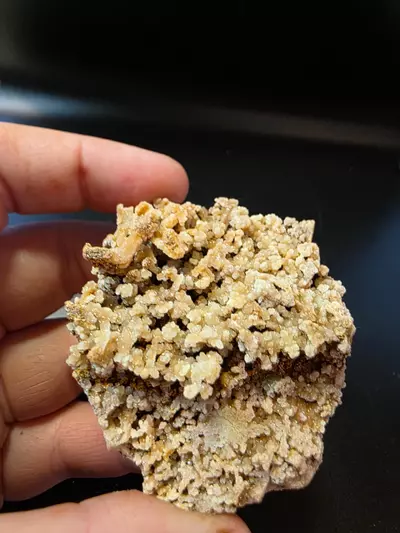 plant/Aragonite from Sidi Ayad Morocco-3-thumbnail