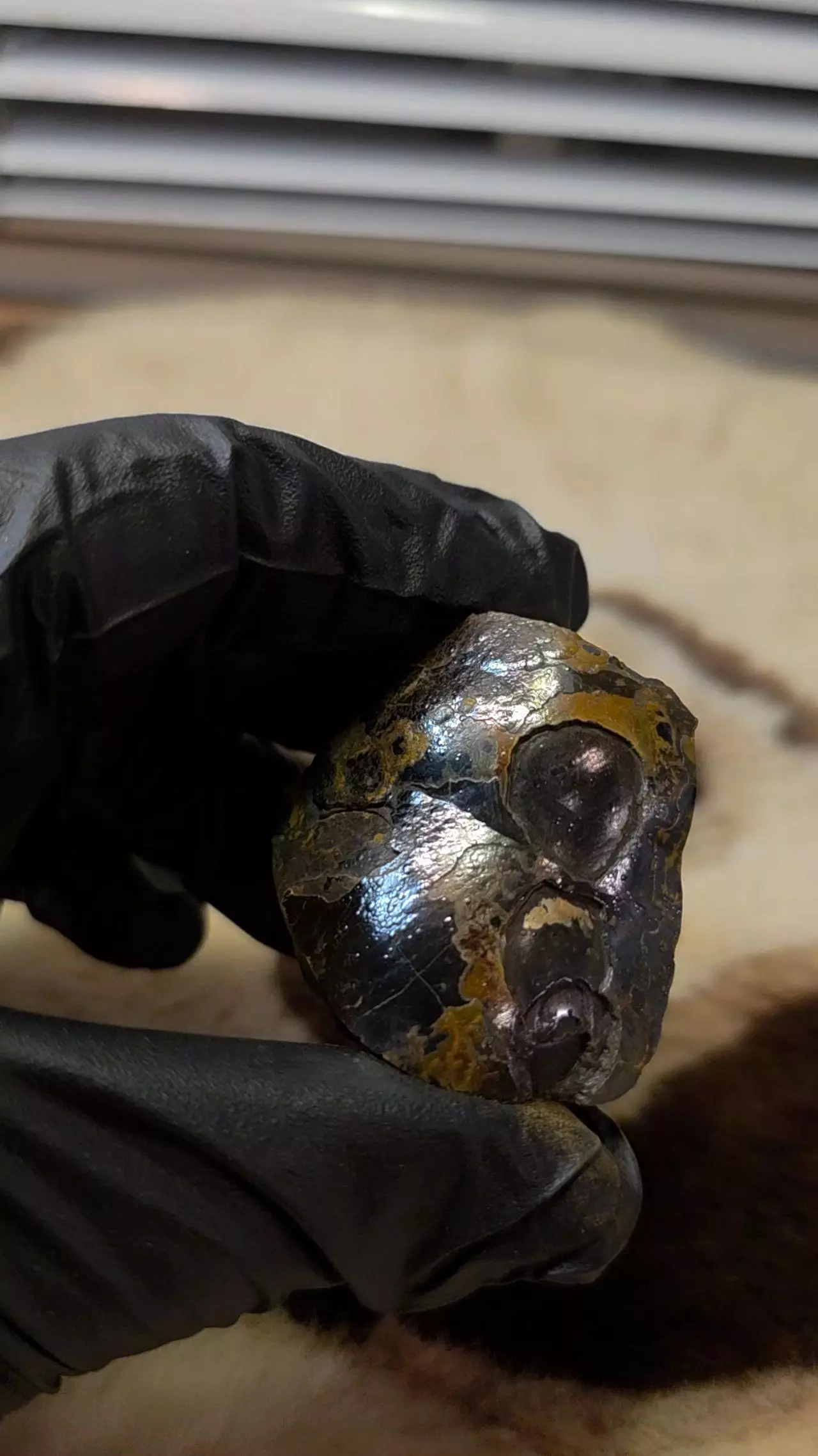 plant/Botryoidal Hematite from Morocco-2