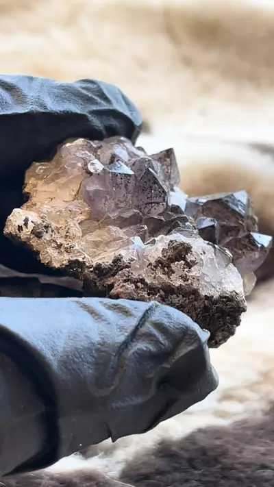 plant/Dark Amethyst with goethite Morocco mineral-1-thumbnail