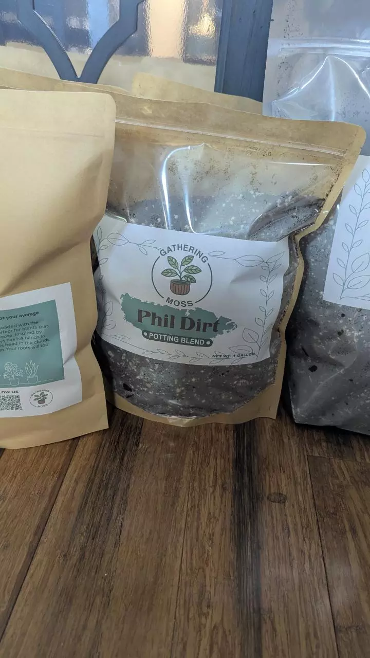 plant/Phil Dirt-Tree Fern Fiber Potting Mix - 1 Gallon Bag-1
