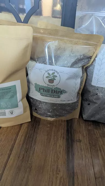 plant/Phil Dirt-Tree Fern Fiber Potting Mix - 1 Gallon Bag-1-thumbnail