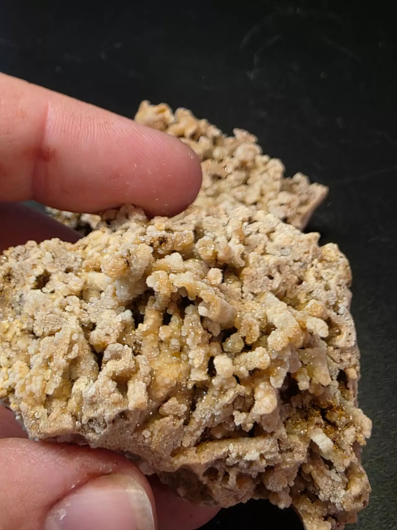 plant/Aragonite from Sidi Ayad Morocco-1