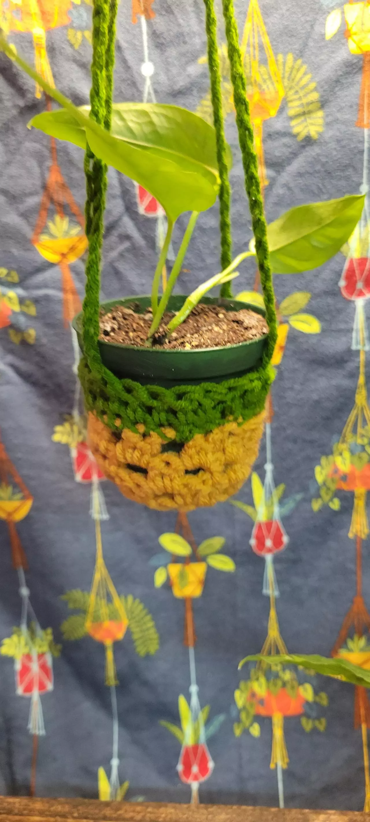 plant/Hand crochet plant hanger for 2 inch pineapple 🍍 yellow and green-0