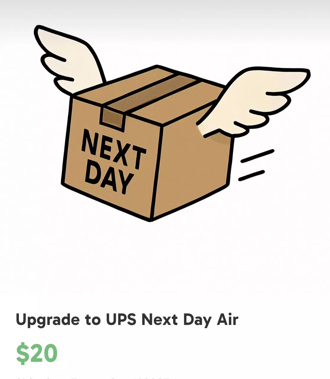 shipping_upgrade/UPS next day upgrade-0