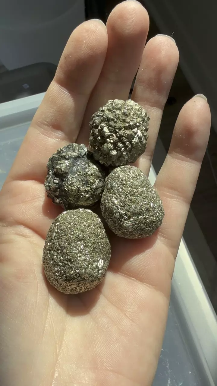 plant/One pyrite cluster-0