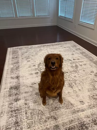 plant/B2B Test - Fletcher-0-thumbnail