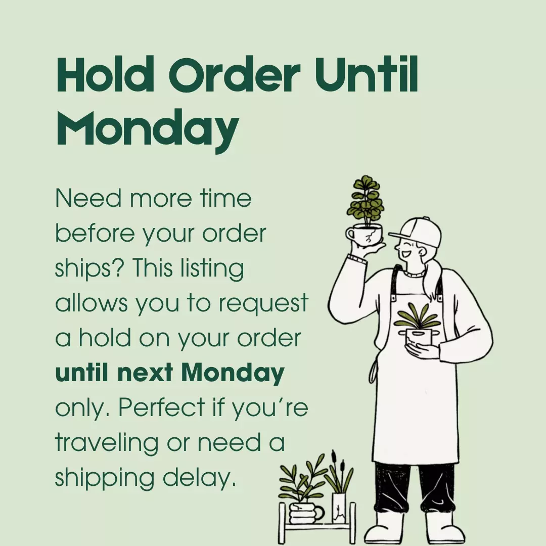 plant/Hold Order Until Monday-0