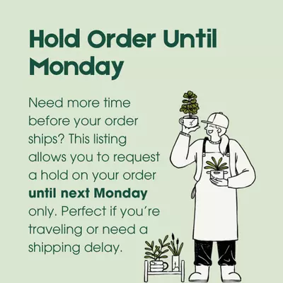 plant/Hold Order Until Monday-0-thumbnail