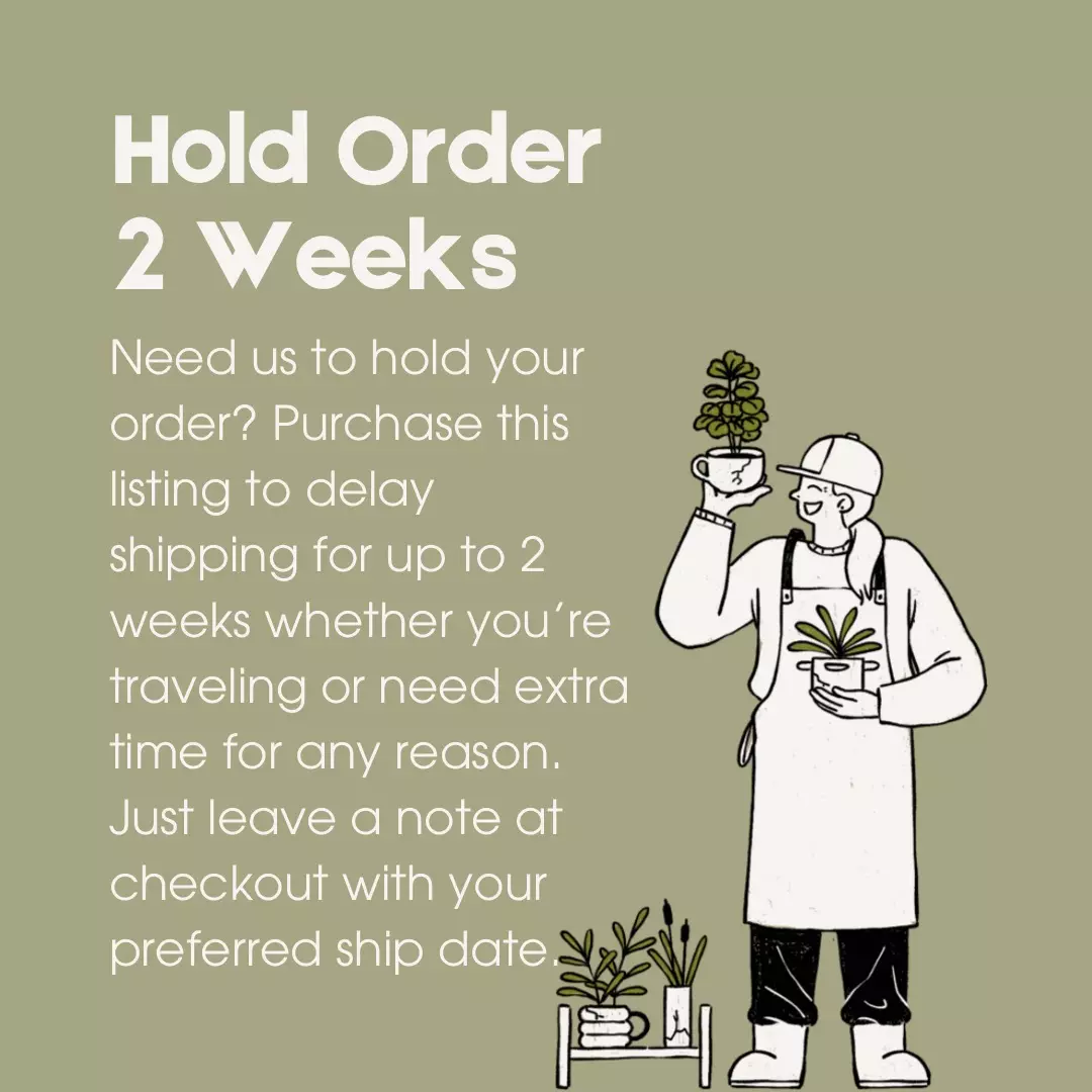 plant/Hold Order - 2 Weeks-0