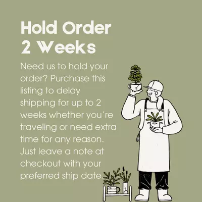 plant/Hold Order - 2 Weeks-0-thumbnail